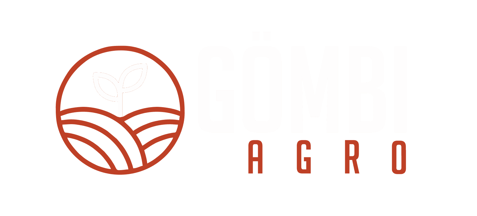 Gömbi Burgonya